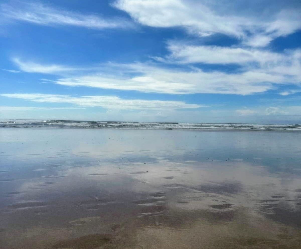 Wide Open; Nothing Holy